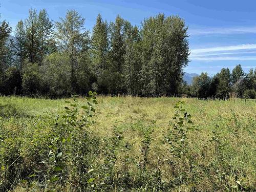 8613 16 Highway, Dunster, BC 