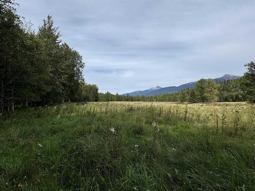 8165 Mountain View Road, Mcbride, BC 