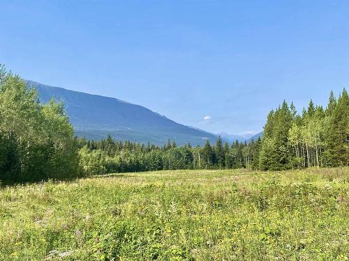 Dl 6011 Carr Road, Valemount, BC 