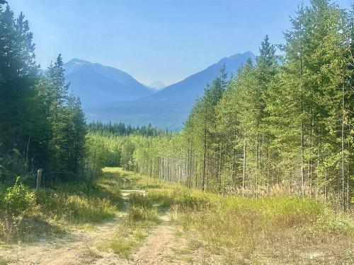 Dl 6011 Carr Road, Valemount, BC 