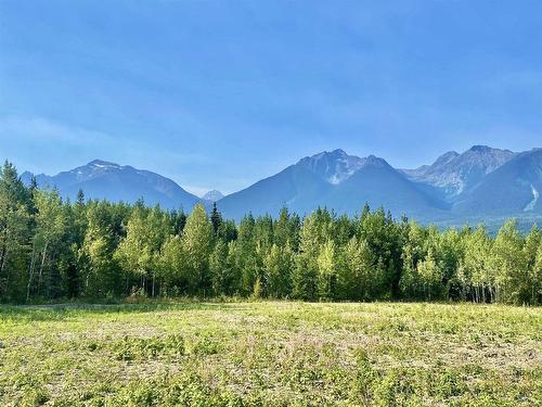 Dl 6011 Carr Road, Valemount, BC 