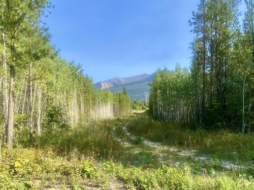 Dl 6011 Carr Road, Valemount, BC 