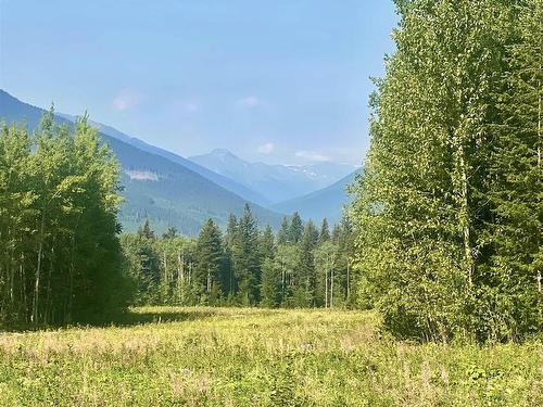 Dl 6011 Carr Road, Valemount, BC 