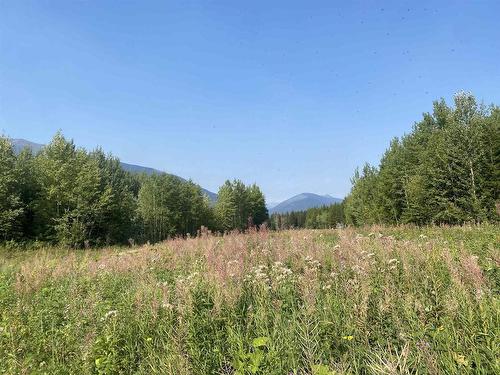 Dl 6011 Carr Road, Valemount, BC 