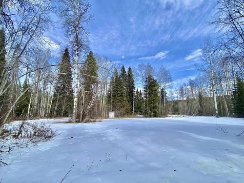 185 Sunnyview Road, Valemount, BC 