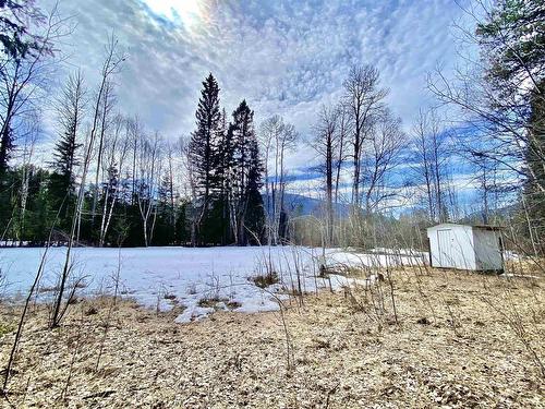 185 Sunnyview Road, Valemount, BC 