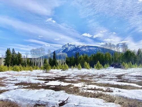 185 Sunnyview Road, Valemount, BC 