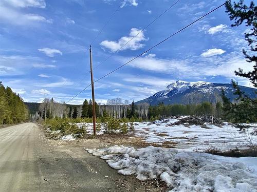 185 Sunnyview Road, Valemount, BC 