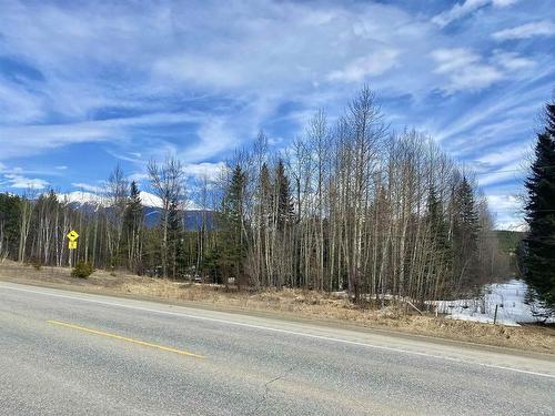 185 Sunnyview Road, Valemount, BC 