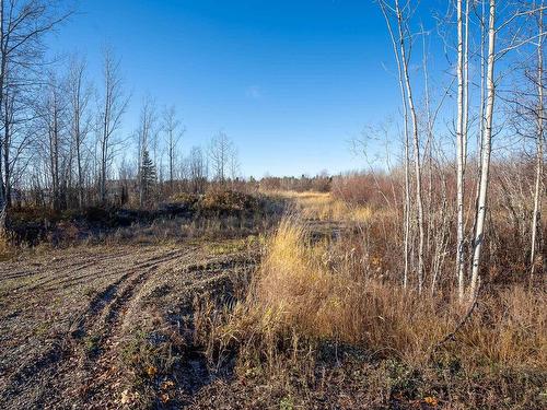 Lot 2 Parsnip Road, Prince George, BC 