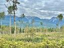 Shere Lake Road, Valemount, BC 