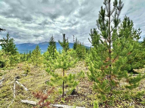 Shere Lake Road, Valemount, BC 