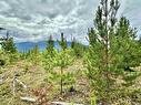 Shere Lake Road, Valemount, BC 