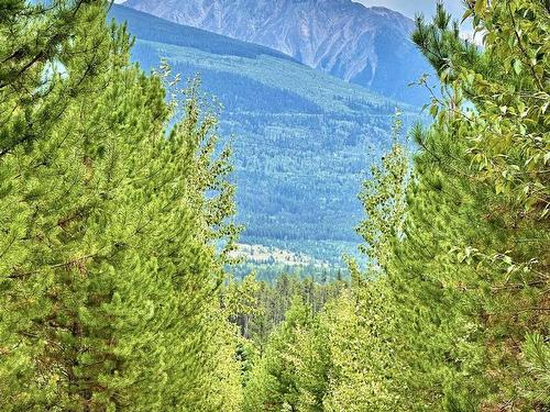 Shere Lake Road, Valemount, BC 