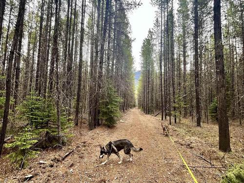 Shere Lake Road, Valemount, BC 