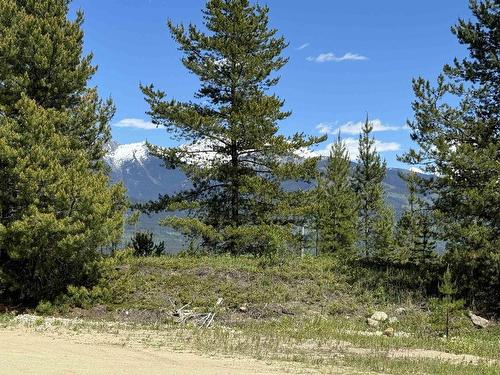 Lot 4 Pitney Road, Valemount, BC 