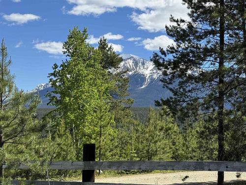 Lot 4 Pitney Road, Valemount, BC 