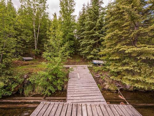 42250 S Bednesti Lake Road, Prince George, BC 