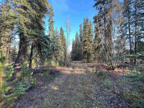 Lot 5 Clearview Drive, Burns Lake, BC 