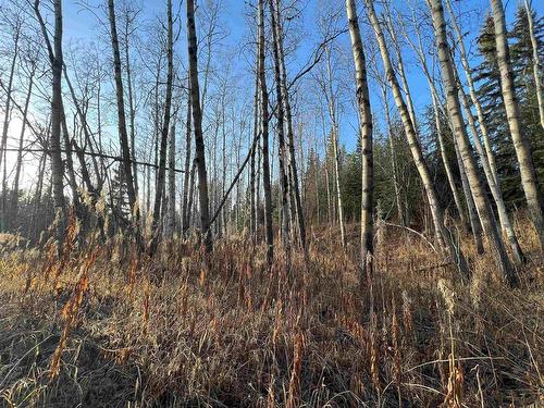 Lot 5 Clearview Drive, Burns Lake, BC 