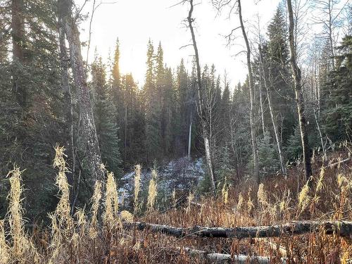 Lot 5 Clearview Drive, Burns Lake, BC 