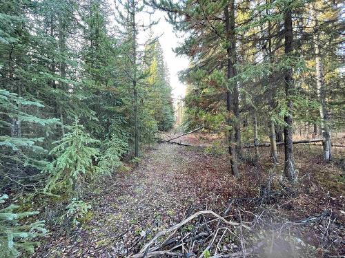 Lot 5 Clearview Drive, Burns Lake, BC 