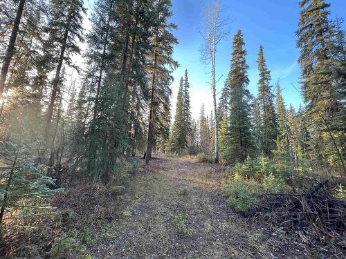 Lot 5 Clearview Drive, Burns Lake, BC 