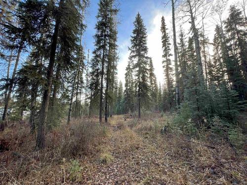 Lot 5 Clearview Drive, Burns Lake, BC 