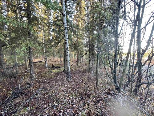 Lot 5 Clearview Drive, Burns Lake, BC 