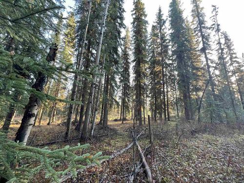 Lot 5 Clearview Drive, Burns Lake, BC 