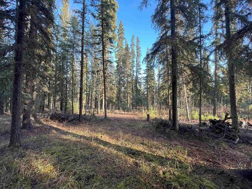 Lot 5 Clearview Drive, Burns Lake, BC 