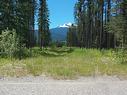 Dl 5702 Crooked Creek Road, Valemount, BC 