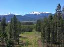 Dl 5702 Crooked Creek Road, Valemount, BC 