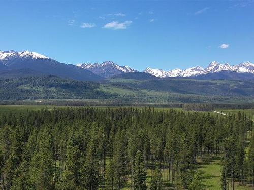 Dl 5702 Crooked Creek Road, Valemount, BC 