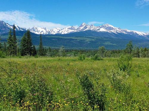 Lot 3 O'Dwyer Road, Valemount, BC 