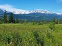 Lot 3 O'Dwyer Road, Valemount, BC 