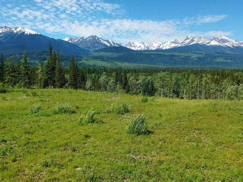 Lot 3 O'Dwyer Road, Valemount, BC 