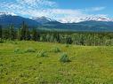 Lot 3 O'Dwyer Road, Valemount, BC 