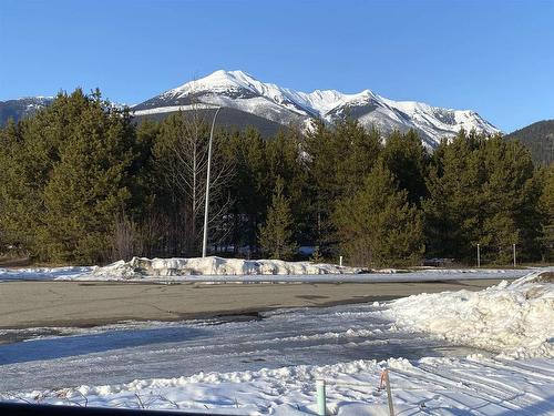 1471 8Th Place, Valemount, BC 