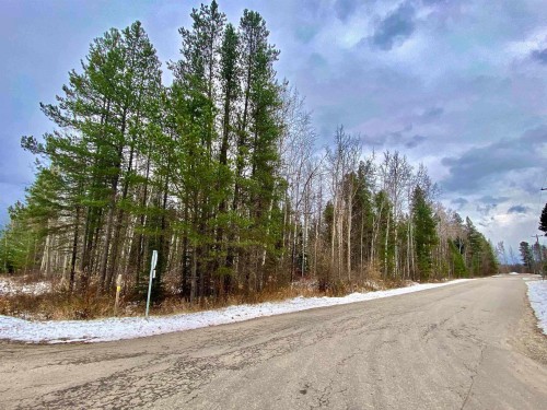 Lot 10 17Th Avenue, Valemount, BC 