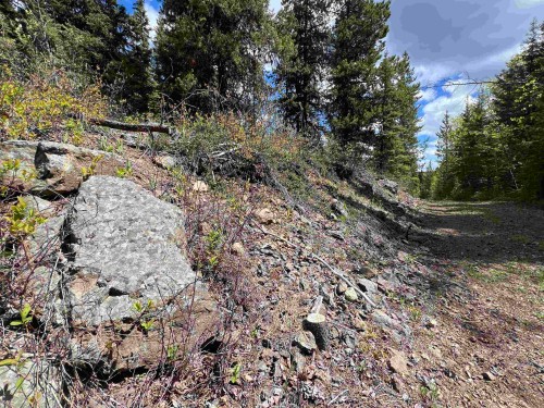 Dl 2466 Tchesinkut Lake, Burns Lake, BC 