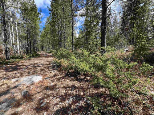 Dl 2466 Tchesinkut Lake, Burns Lake, BC 