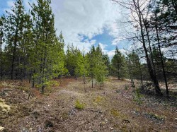 LOT 5 Starview Road  Valemount, BC V0E 2Z0