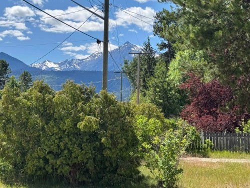 1460 7Th Avenue, Valemount, BC 
