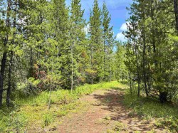 LOT 56 Meier Road W Cluculz Lake, BC V0J 3A3