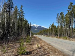 1035 18th Avenue  Valemount, BC V0E 2Z0