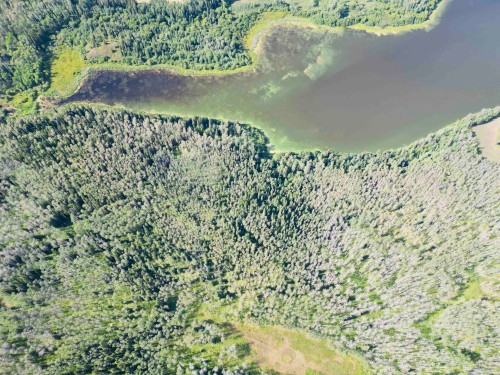 Dl 941 Shaeffer Lake, Burns Lake, BC 