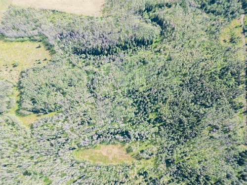 Dl 941 Shaeffer Lake, Burns Lake, BC 