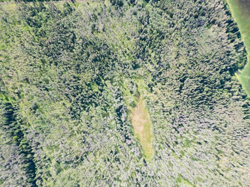 Dl 941 Shaeffer Lake, Burns Lake, BC 