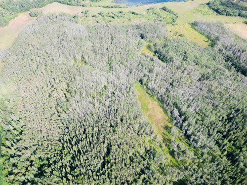 Dl 941 Shaeffer Lake, Burns Lake, BC 